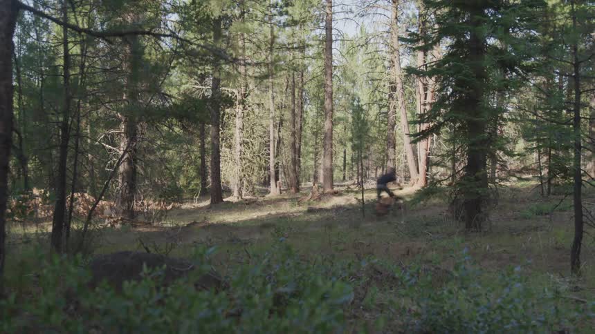 A person riding a mountain bike in the woods