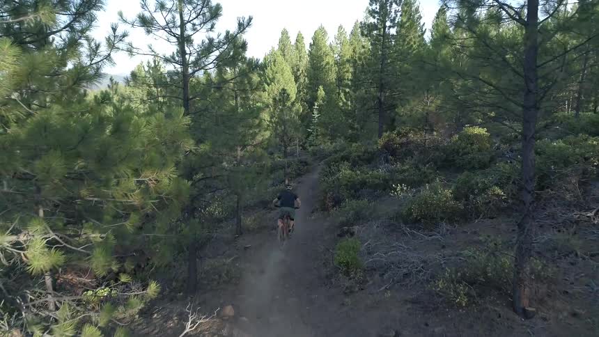 Man rides a bike on a forest track in the woods