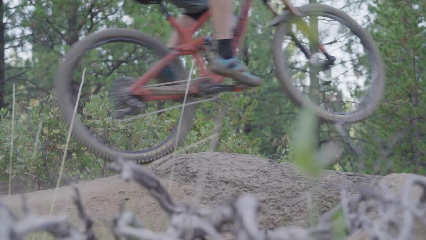 Man rides a bike and jumps over the forest track in the woods