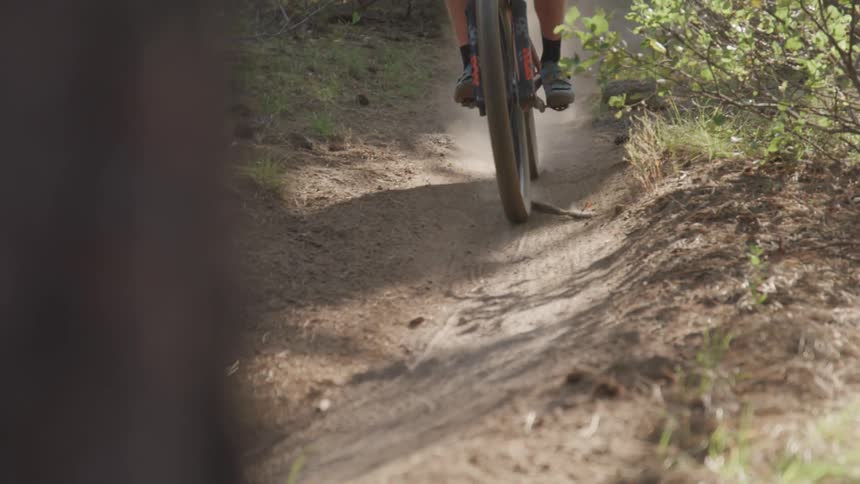 Man rides a bike on the forest track in the woods