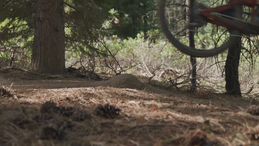A close up view of a mountain bike wheels