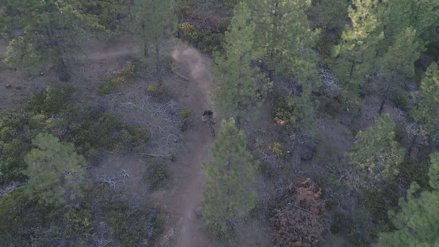 Man rides a bike on the winding forest road in the forest