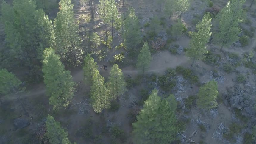 A person riding a trail in the woods with a mountain bike