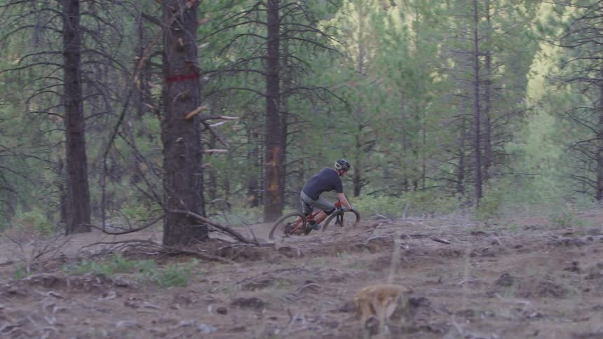 Man rides a bike on the winding forest track in the woods