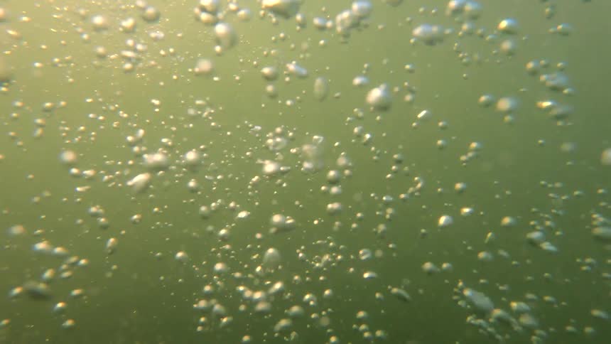 Wake surfer spills and submerges