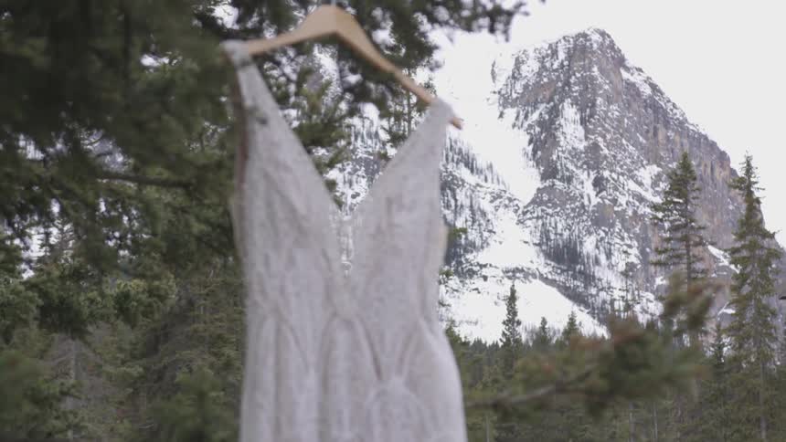 A beaded lace wedding dress hangs from a tree outdoors in front of a mountain range