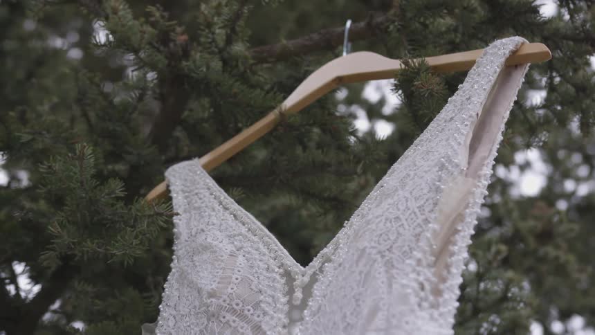 A wedding dress hangs outside in a tree