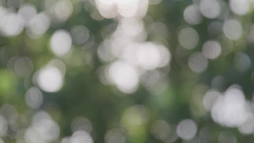 An out of focus shot of green a white light