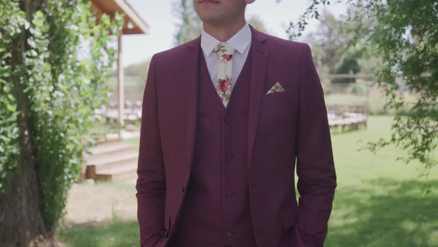 Man in suit stands on the green grass on a sunny day