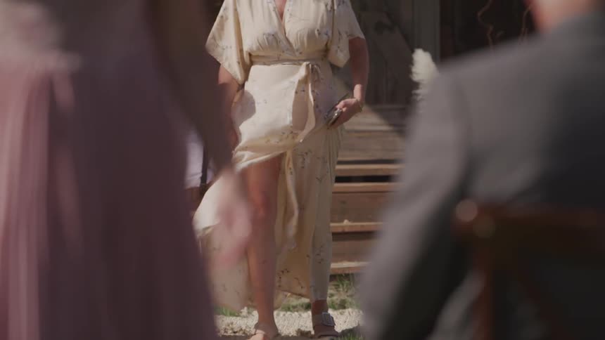 A scene of a wedding party