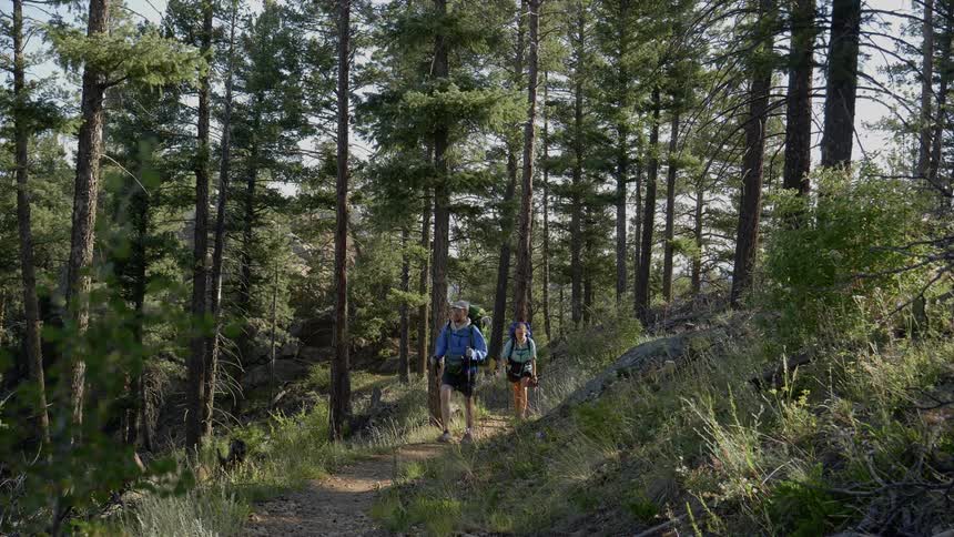 A man and woman hike through a forest