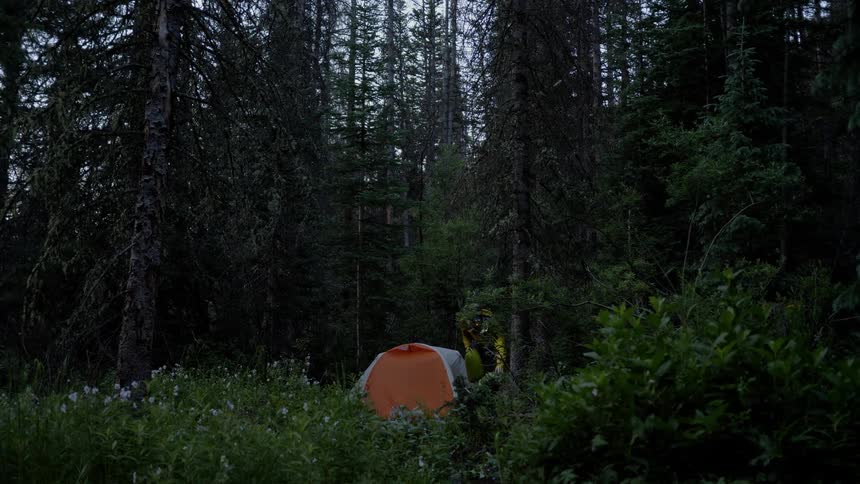 A person pulls items from a tent in the woods and puts them into a bag