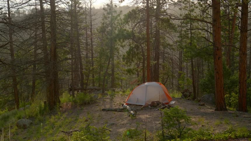 Tent in the woods