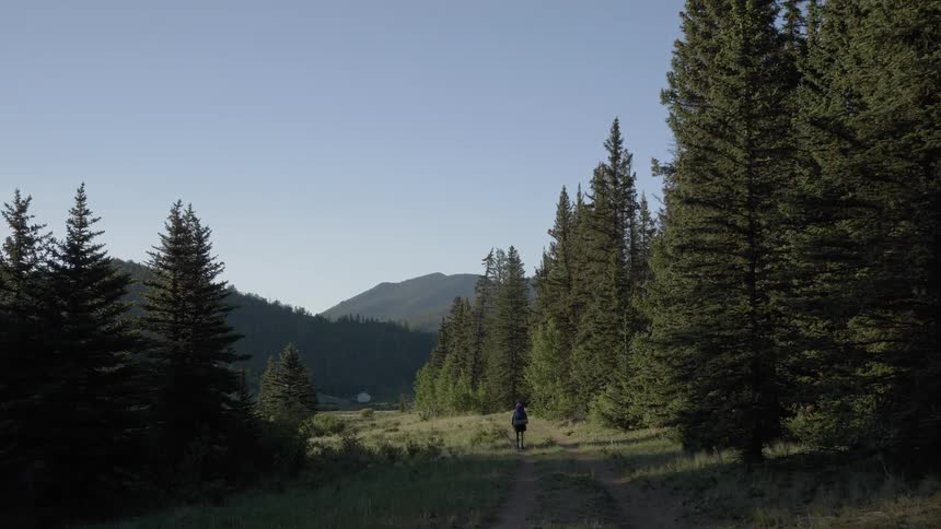 Man walks along the dirt road in the woods