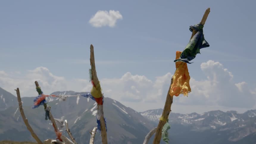 Bits of cloth tied on a row of branches sticking upward