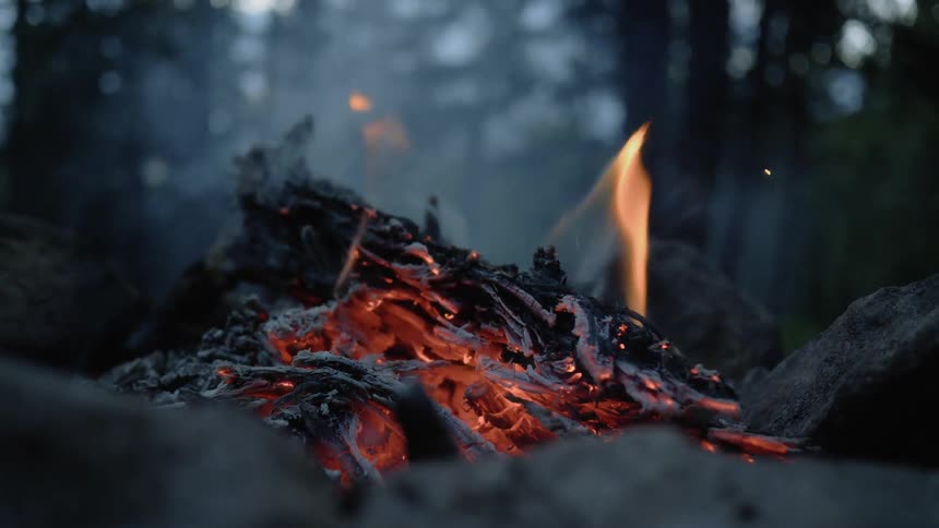 A smoking campfire surrounded by rocks in the forest