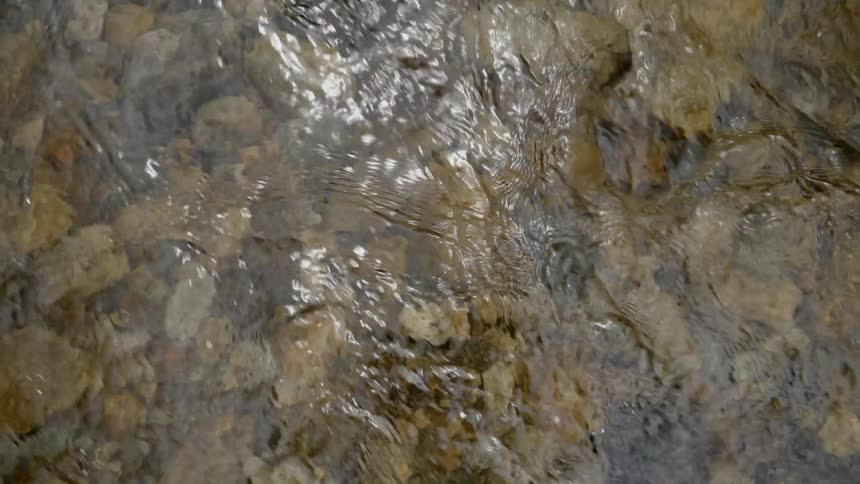 A view of water stream