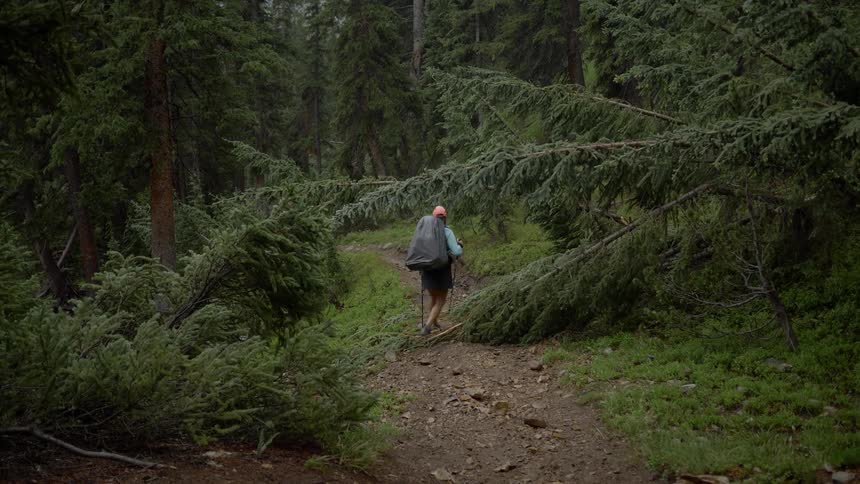 Man carrying backpack hikes in the woods