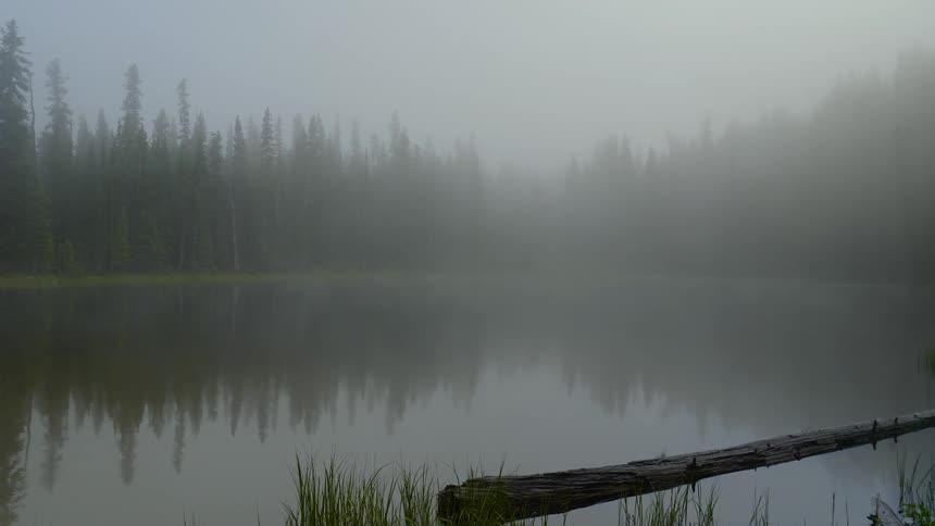 A misty lake surrounded by forest on a cloudy day