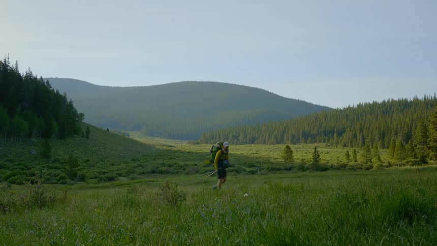 Young hiker crossing grass field surrounded by forest near mountains