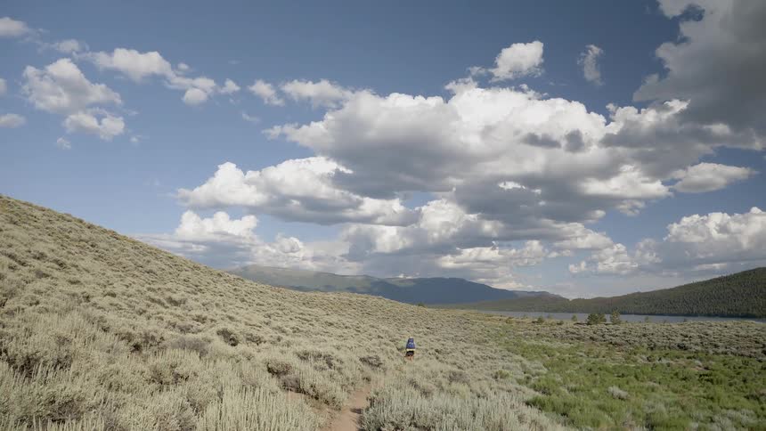 A scenery of a grassland