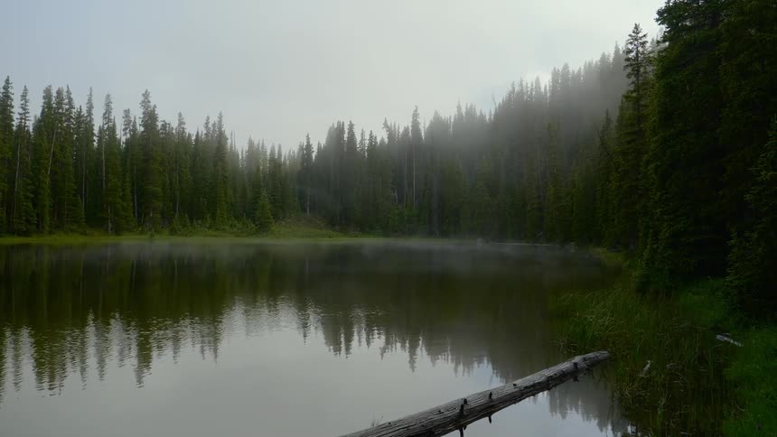 A footage of a misty lake and forest