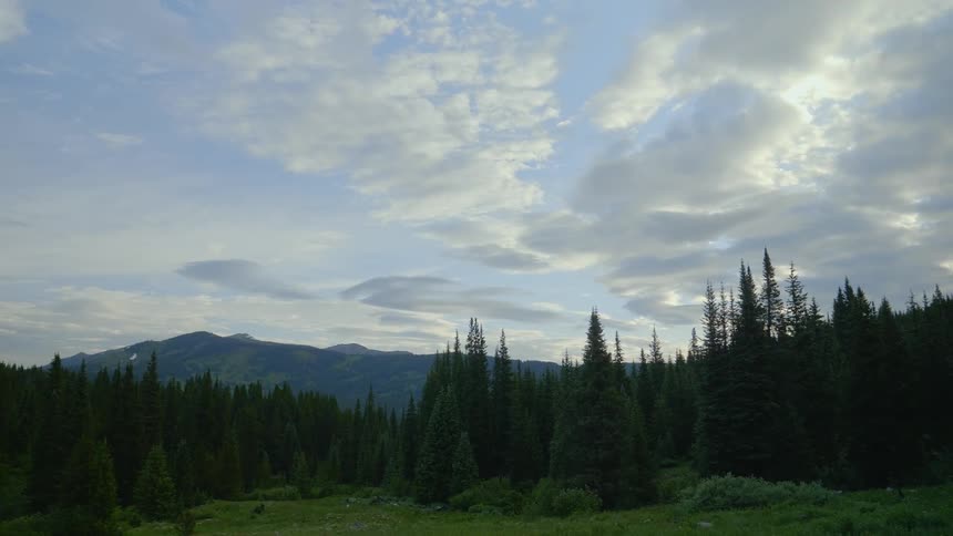 Underneath a beautiful and cloudy sky a green forest sits in front of a tall mountain range