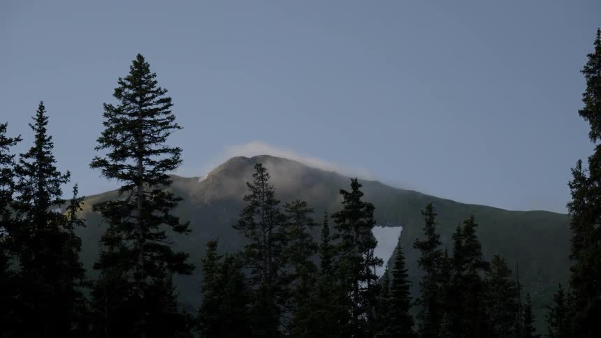 Trees in front of a large hill