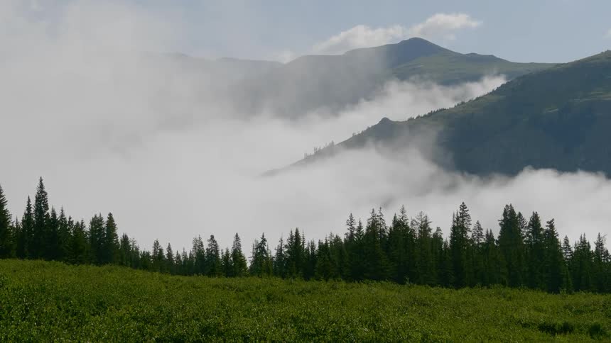 Clouds floating across the hills in a forest