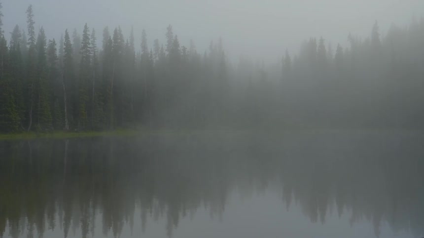 The reflection of trees on a lake on a foggy day