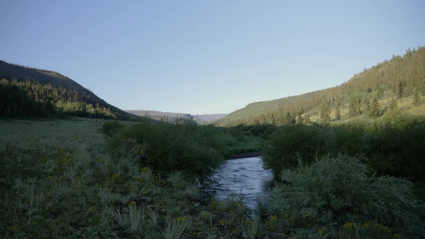 A river winds through the grassland between two hills that are each covered in an evergreen forest