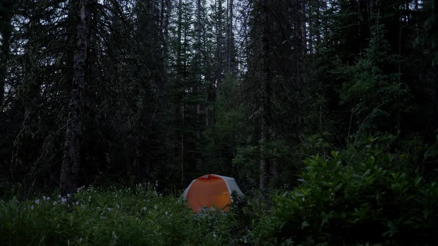 An orange tent in the middle of forest