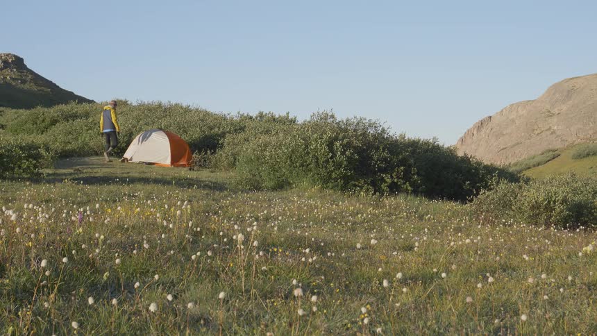 A tent in the middle of grass land