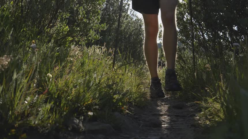 A hiker uses walking sticks to hike a path through a field