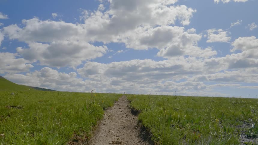 Dirt trail in the middle of a pasture in the country