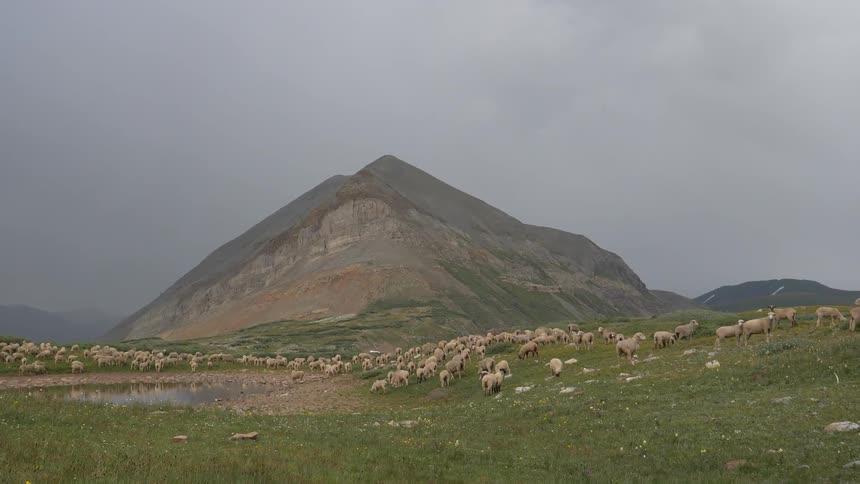 A small mountain with hundreds of sheep grazing at its base