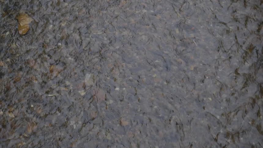 A scenery of a water stream in a river