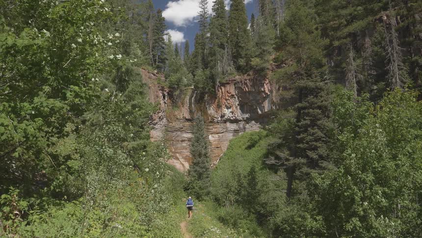 A hiker with a large backpack makes their way through a dense forest towards a rocky cliff