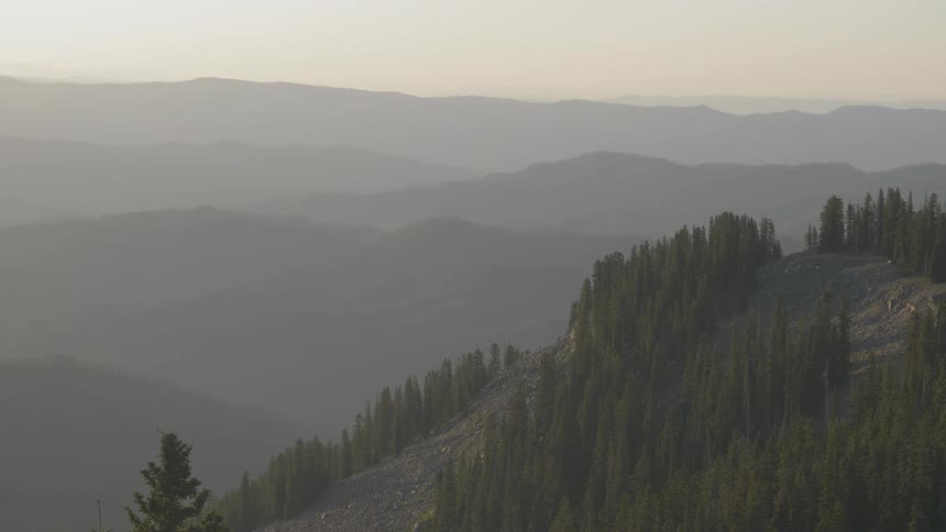 Trees sit on the mountain side surrounded by fog