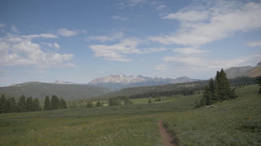 Grassland plains near to a pine forest with mountain range on horizon