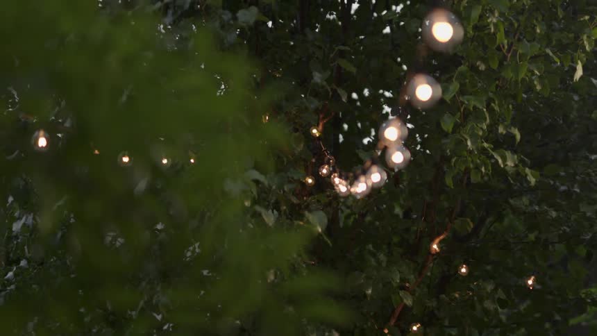 Close shot of lights strung between tree branches