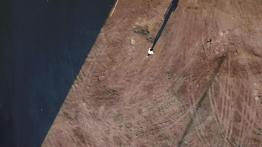 An aerial view of man running on a field at dawn