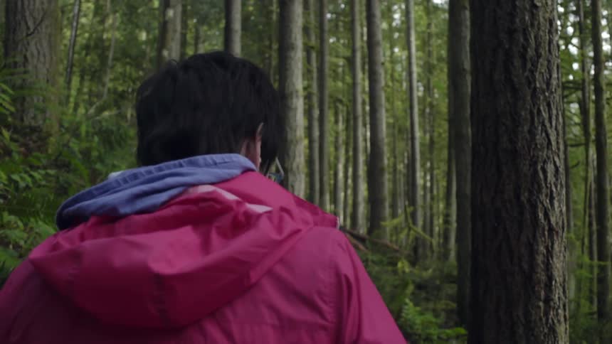 A person in a pink jacket walks through a forest