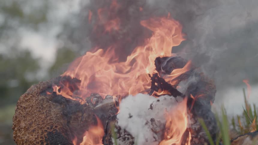 Burning teddy bear in a field