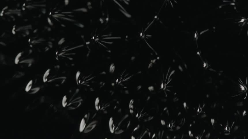 The surface of a shiny black ferromagnetic fluid suddenly produces a number of spikes which tremble and waver