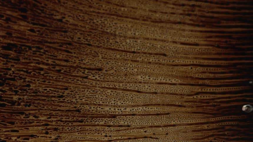 A microscopic view of liquid