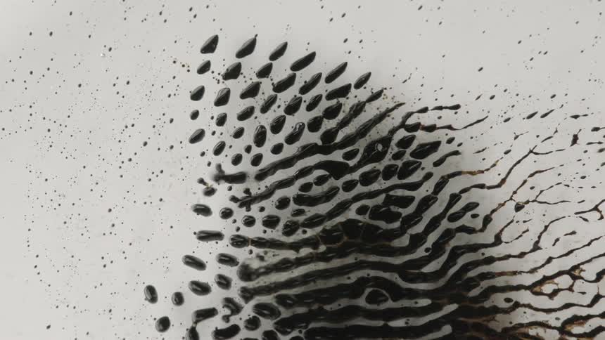 Magnetic fluid moves in rivulets made from individual drops of magnetic fluid