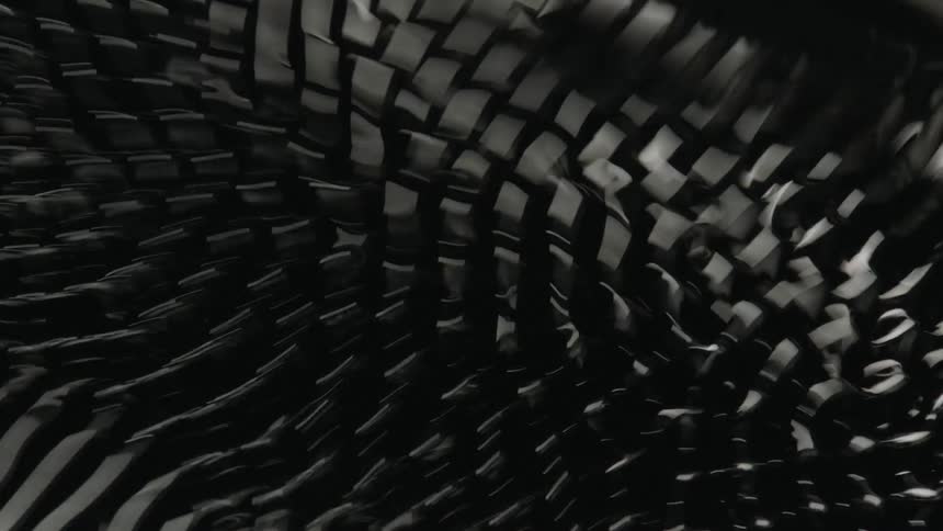 Very close view of bristles moving