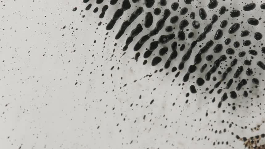 Droplets of a dark liquid moves and change directions independently across a smooth white surface