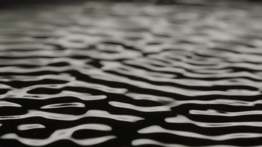Rapid ripples propagate across the surface of a shiny black fluid